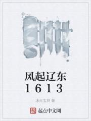 风起辽东1613