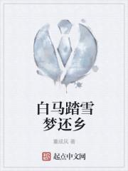 白马踏雪梦还乡