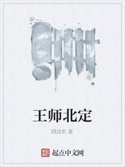 王师北定