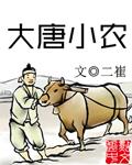 大唐小农