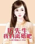 厉先生我们离婚吧