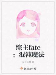 综主fate之混沌魔法