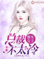 赛车女王：总裁不太冷