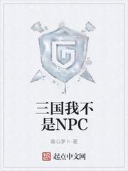 三国我不是NPC