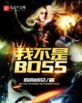 我不是BOSS