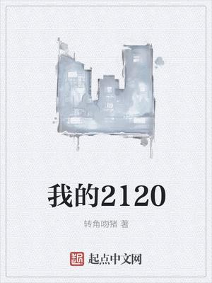 我的2120