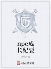 npc成长纪要