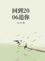 回到2006追你