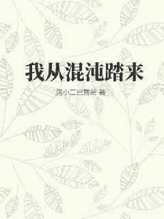 我从混沌踏来