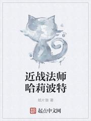 近战法师哈莉波特