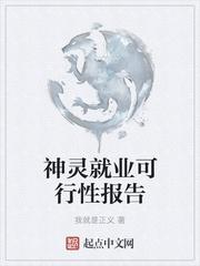 神灵就业可行性报告