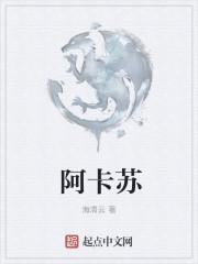 阿卡苏的奇幻之旅