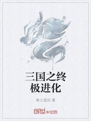 三国之终极进化