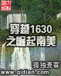 穿越1630之崛起南美内