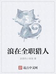 浪在全职猎人