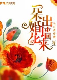 一朵婚花出墙来