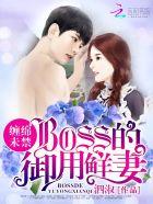 婚内试爱：BOSS花式宠妻